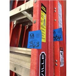 1-Werner 10' Ladder