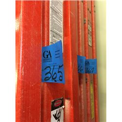 1- Werner 10' Ladder