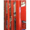 Image 3 : 1- Werner 12' Ladder