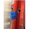 Image 1 : 1- Louisville 20' Ladder