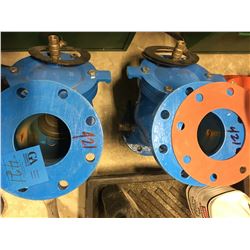 STF 4" Backflo Preventors
