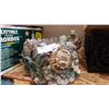 Image 1 : TURTLE PLANTER