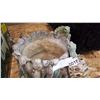 Image 2 : TURTLE PLANTER