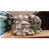 Image 3 : TURTLE PLANTER