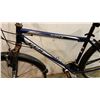 Image 2 : BLUE CCM BIKE