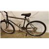 Image 4 : GREY NISHIKI BIKE
