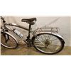 Image 4 : GREY NAKAMURA BIKE