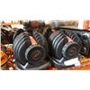 Image 1 : BOWFLEX ADJUSTABLE DUMBBELLS