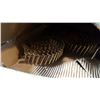 Image 3 : BOX OF 1" AND 1-1/4" ROOFING NAILS
