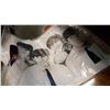 Image 2 : 2 ROCK AND ROLL ALL STARTS SIGNED PRINTS