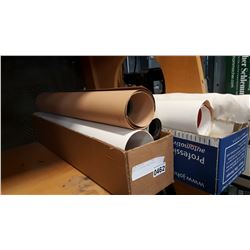 LOT OF POSTERS AND PRINTS