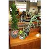 Image 1 : 3 PLANTS IN POTS