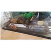 Image 2 : FISH TANK WITH ACCESSORIES
