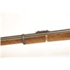Image 9 : Martini-Henry Beauty
