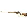Image 9 : Ross Customized M70