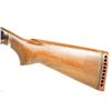 Image 7 : Winchester Model 12