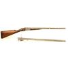 Image 4 : W.W. Greener 12 Gauge