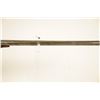 Image 7 : W.W. Greener 12 Gauge