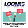 Image 1 : LIVE LOCATION AUCTION