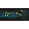 Image 1 : Key ornamental
