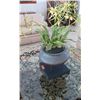 Image 1 : Metal Urn Planter on Stand, Base 14 x 14 x 14