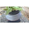 Image 2 : Metal Urn Planter on Stand, Base 14 x 14 x 14