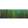 Image 1 : Large 7'11 x 42 Framed Peter Lik - Bamboo Forest Photograph, Artist Proof 42 of 45 (annotation & sig