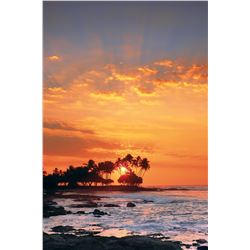 Large 55 x 74.5 Peter Lik Framed Photograph - Sunset Photograph, Signed Ltd. Edition 23 of 950 (purc