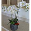 Image 1 : Blue Textured Planter w/ Faux Orchid Plant, Approx. 24" H