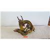 Image 2 : Large Painted Metal (Heavy Metal) Dragon, Approx. 20 x 16