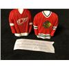 Image 1 : NHL PROTOTYPES PAPERWEIGHTS (BLACKHAWKS/ RED WINGS)