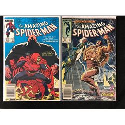 THE AMAZING SPIDER-MAN COMIC BOOK LOT (MARVEL COMICS)