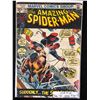 Image 1 : 1973 THE AMAZING SPIDER-MAN #116 (MARVEL COMICS)