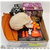 Image 1 : FLAT OF HALLOWEEN ITEMS