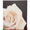 Image 1 : YELLOW ROSE PAINTING - 20"X32"
