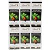 Image 1 : LOT OF 6 LINDT EXCELLENCE INTENSE MINT DARK