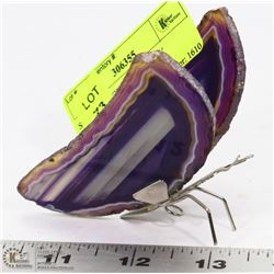 STONE WINGED BUTTERFLY