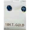 Image 1 : 39) 10KT GOLD SAPPHIRE EARRINGS