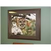Image 1 : 33 x 29 Framed Cougar Print