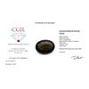 Image 4 : 28.48ct Oval Smokey Quartz Gemstone