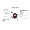 Image 4 : 9.33ct Oval Star Ruby Gemstone