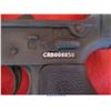 Image 3 : BUSHMASTER CARBON 15