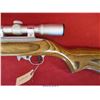 Image 14 : RUGER 10-22
