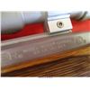 Image 4 : RUGER 10-22
