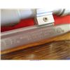 Image 5 : RUGER 10-22
