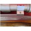 Image 6 : RUGER 10-22