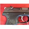 Image 6 : RUGER P95DC