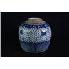 Image 1 : Blue-and-White "Flora" Jar