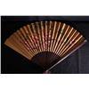 Image 1 : A big fan.