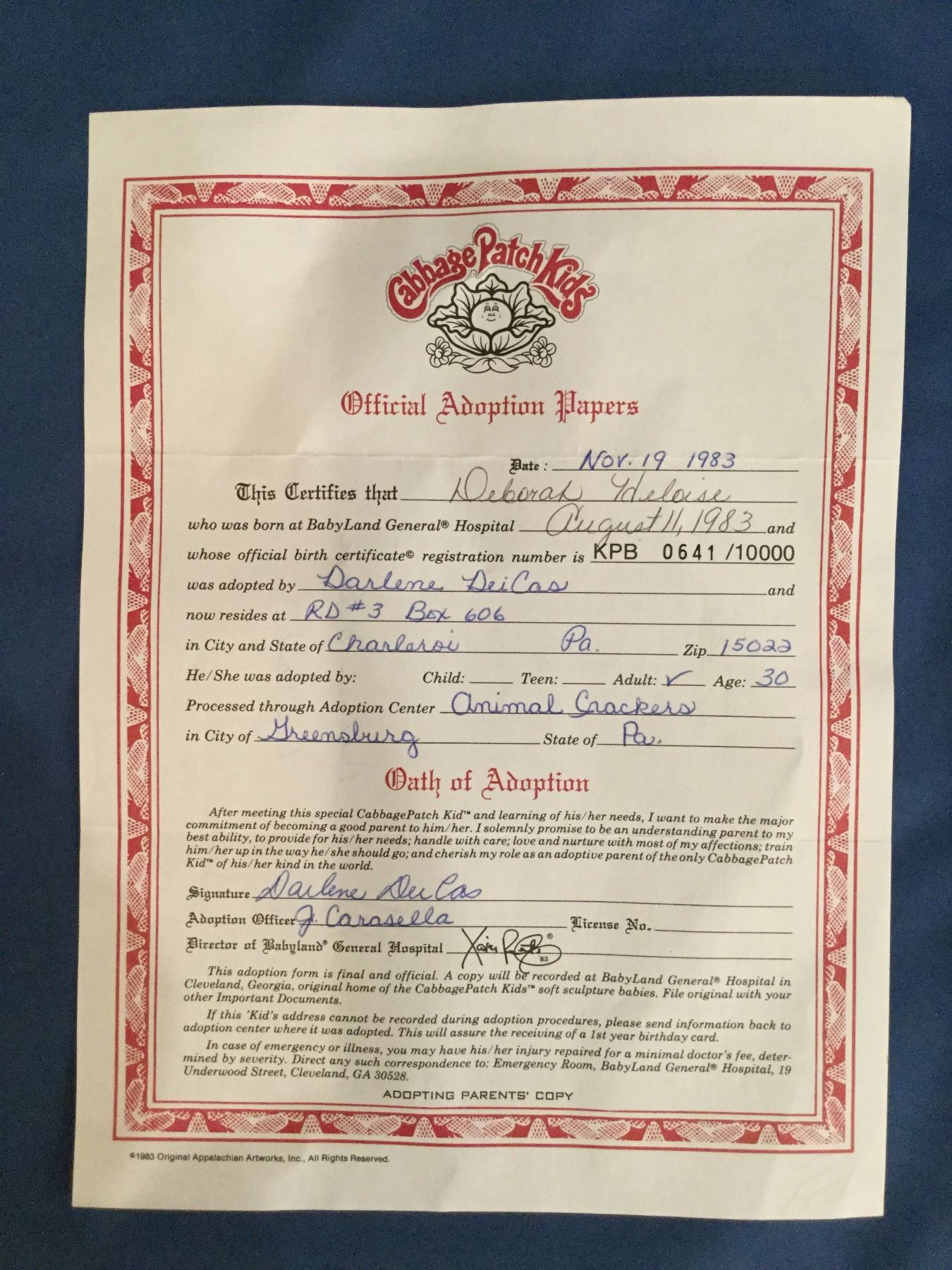 cabbage patch adoption papers